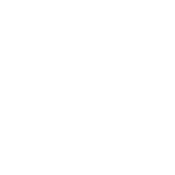 INW Nonamers logo